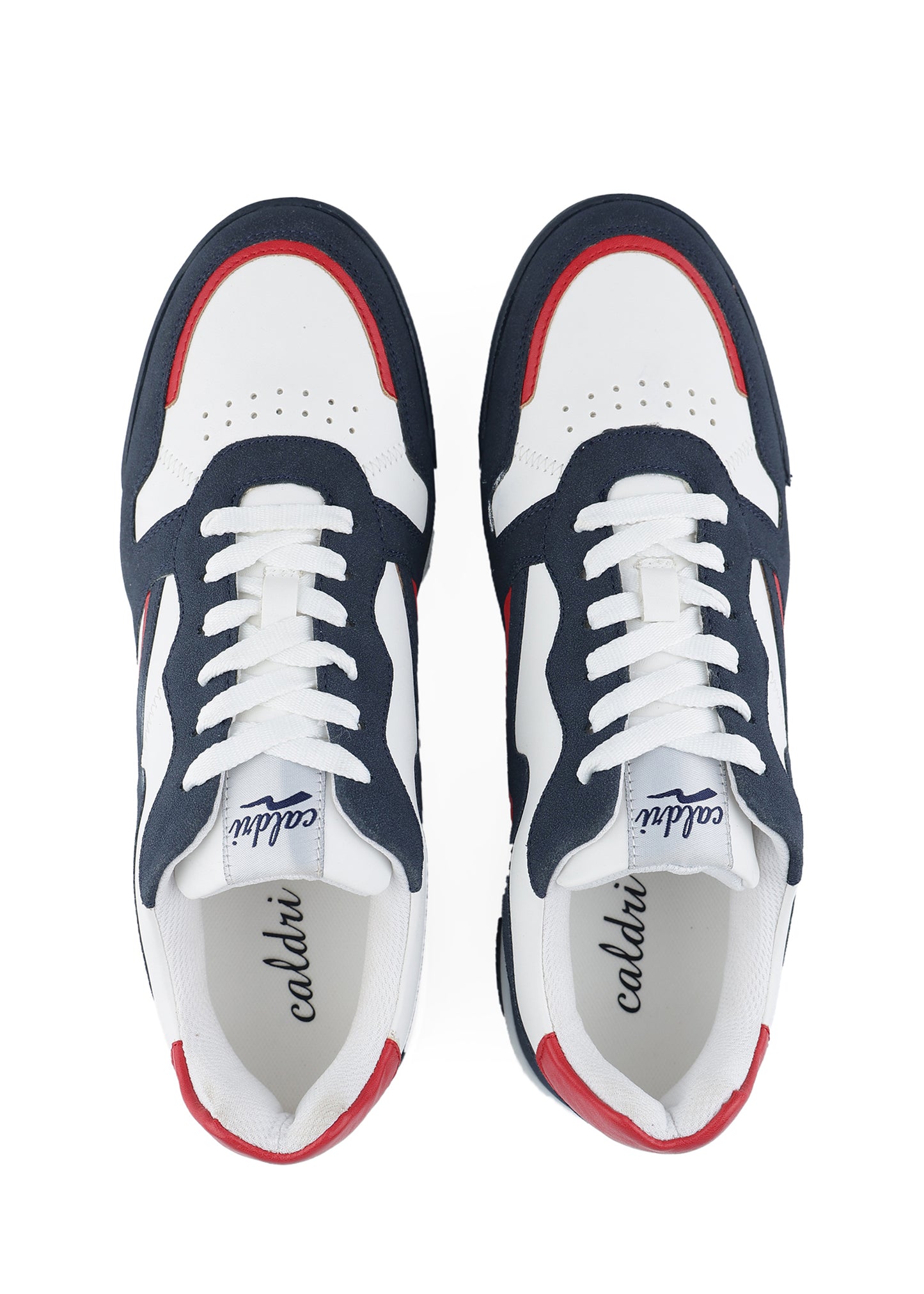 PANTHER-SIGNATURE DS-109