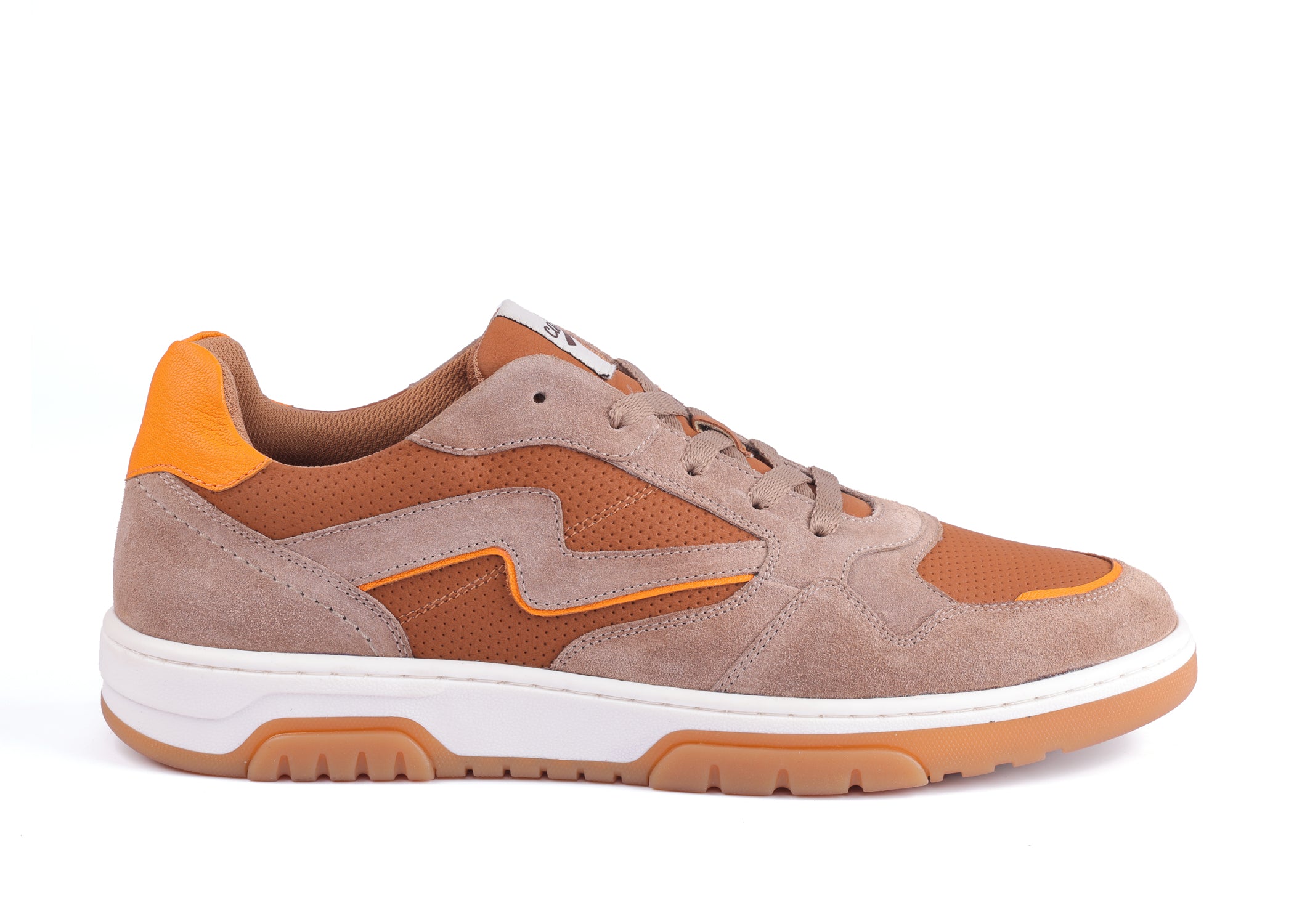 RAVIN-SIGNATURE DS-100 – Caldri Shop